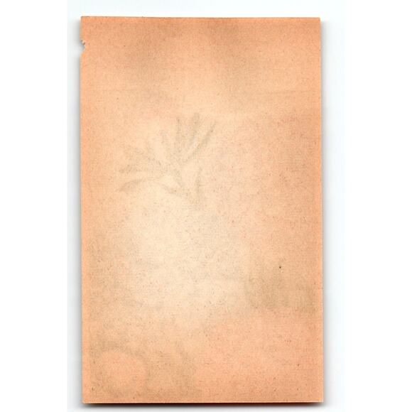 1920's Flower Seed Art Print REINE MARGUERITE Lithograph Original Vintage Unused - Picture 2 of 2